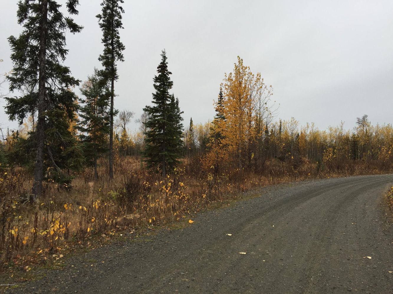 63885 Tailwind Rd, Ninilchik, AK 99639